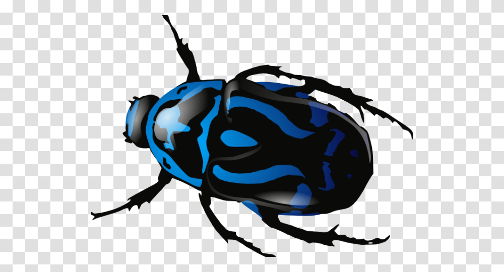 Beetles Clipart Clip Art, Animal, Insect, Invertebrate, Sunglasses Transparent Png