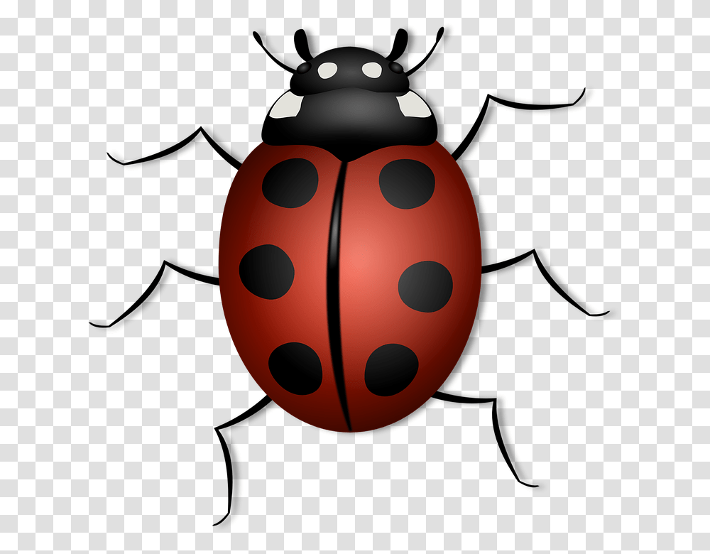 Beetles Clipart Clip Art, Grenade, Bomb, Weapon, Weaponry Transparent Png