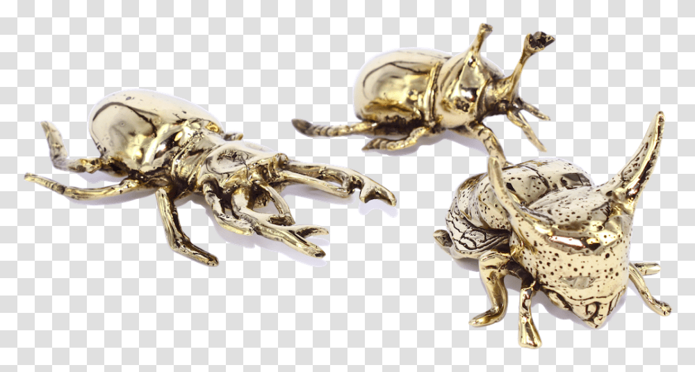 Beetles From 59 Bee, Hook, Claw, Ivory Transparent Png