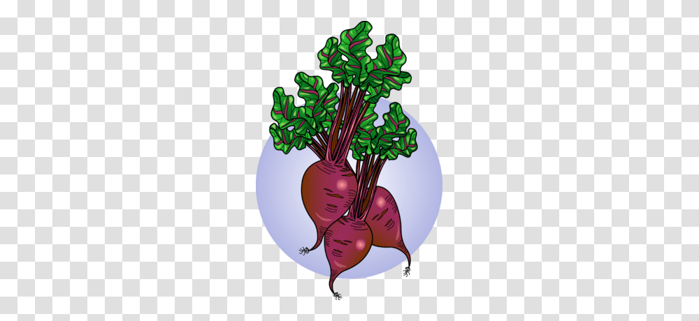 Beetroot Clipart Plant, Turnip, Produce, Vegetable, Food Transparent Png