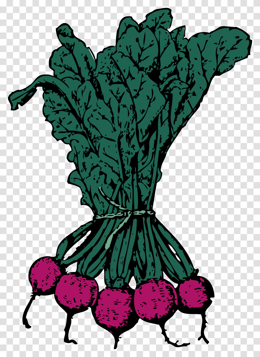 Beets Icons, Kale, Cabbage, Vegetable, Plant Transparent Png