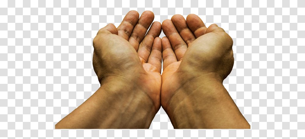 Begging Hands, Wrist, Person, Human, Finger Transparent Png
