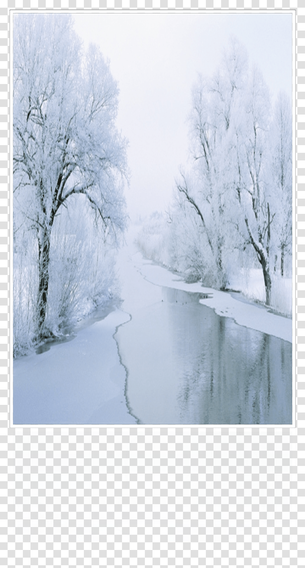 Beginning November Frosty Forest Painting, Blizzard, Winter, Storm, Snow Transparent Png
