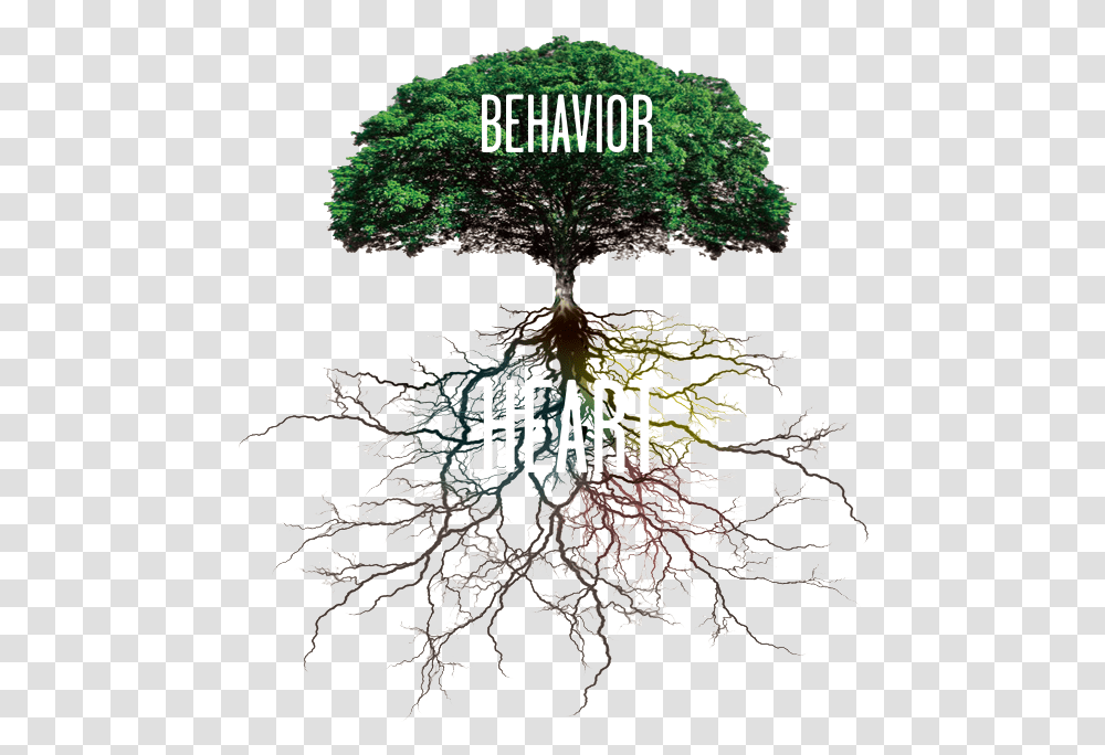 Behavior And Heart Tree With Roots, Plant, Conifer, Bonsai, Jar Transparent Png