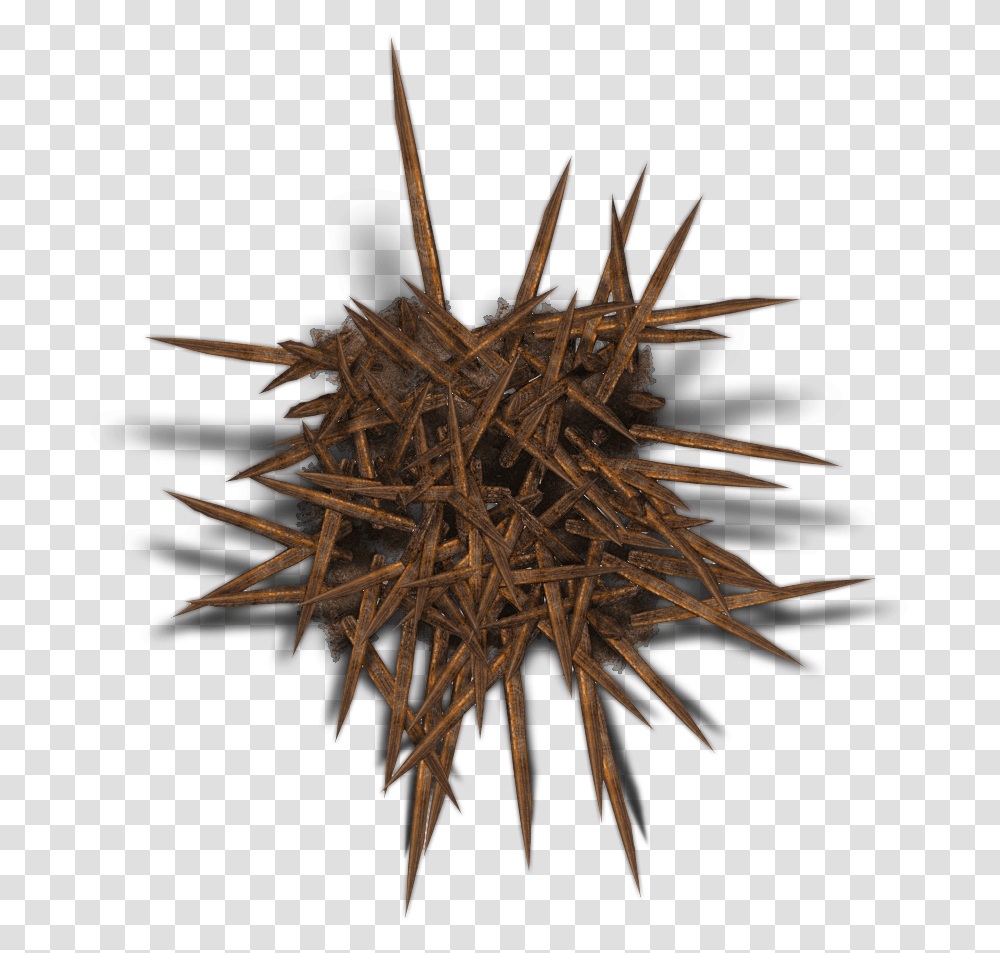Beholder 7 Image Dungeons And Dragons Beholder, Wood, Driftwood, Root, Plant Transparent Png