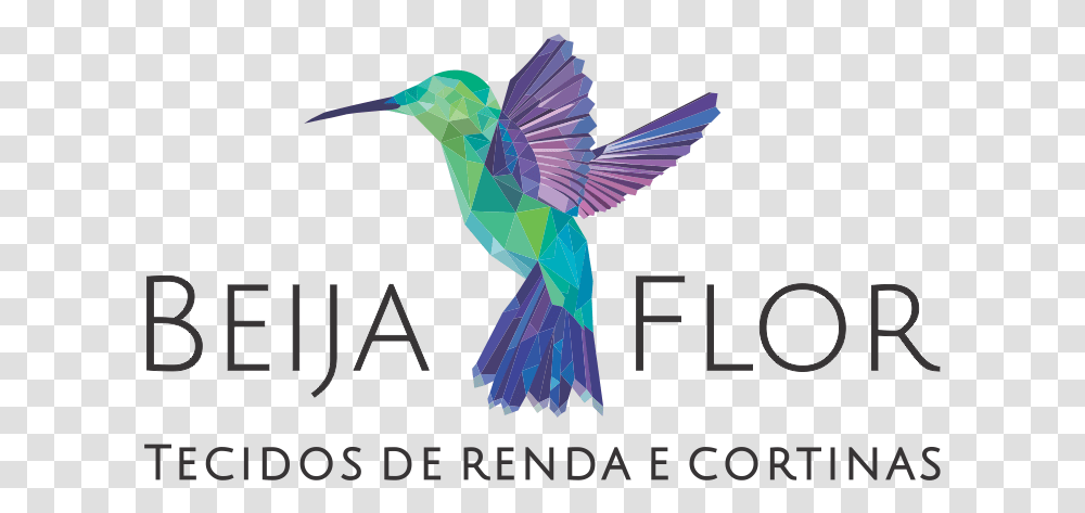 Beija Flor Hummingbird, Bee Eater, Animal, Flying, Bluebird Transparent Png