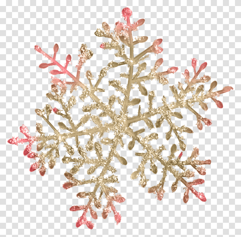 Belaya Snezhinka Na Prozrachnom Fone, Snowflake, Ornament, Plant, Tree Transparent Png