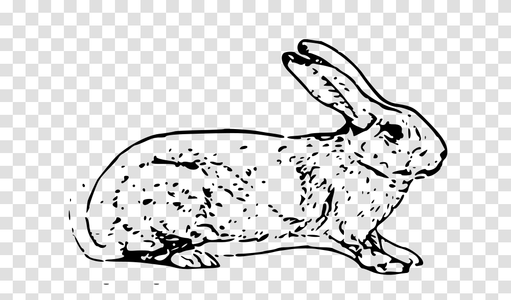 Belgian Rabbit, Animals, Gray, World Of Warcraft Transparent Png