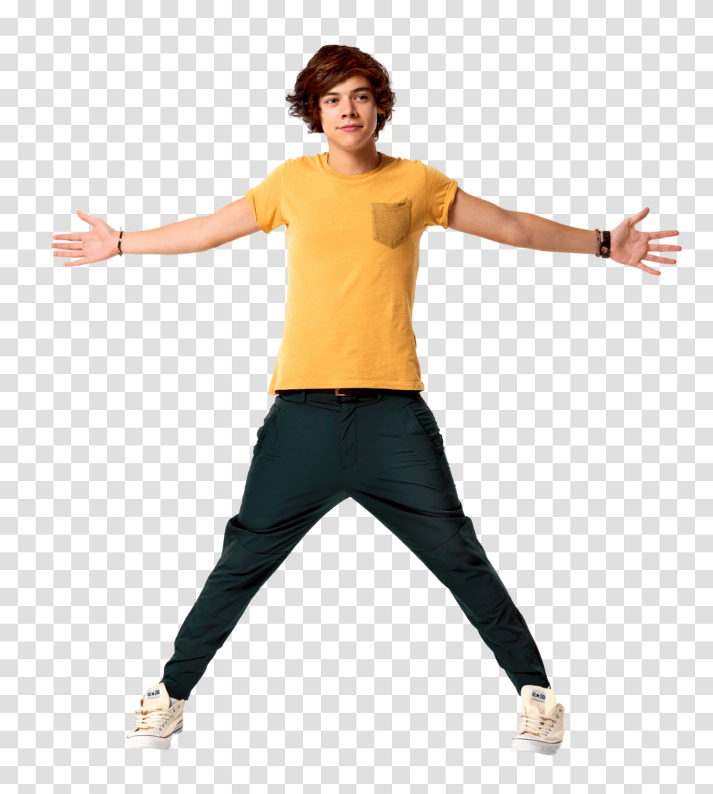 Believe Harry Styles, Performer, Person, Human Transparent Png