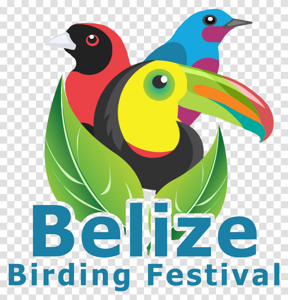 Belize Birding Festival Official Website Bird Logo, Animal, Graphics, Art, Advertisement Transparent Png