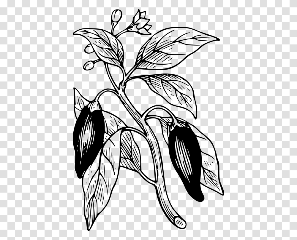 Bell Pepper Chili Pepper Chili Con Carne Plants Black Pepper Free, Gray, World Of Warcraft, Halo Transparent Png