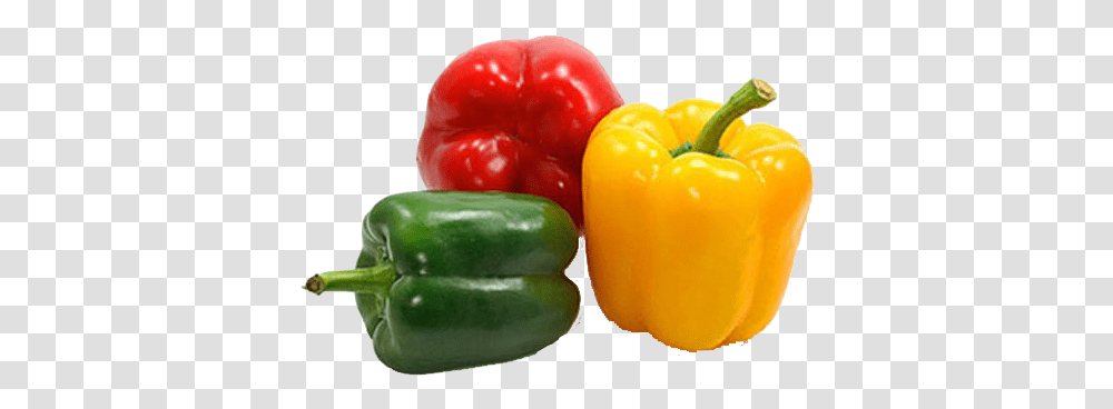 Bell Pepper Free Background Green Yellow And Red Peppers, Plant, Vegetable, Food Transparent Png