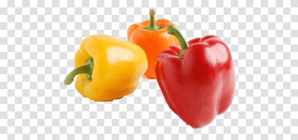 Bell Pepper Free Download Bell Peppers, Plant, Vegetable, Food Transparent Png