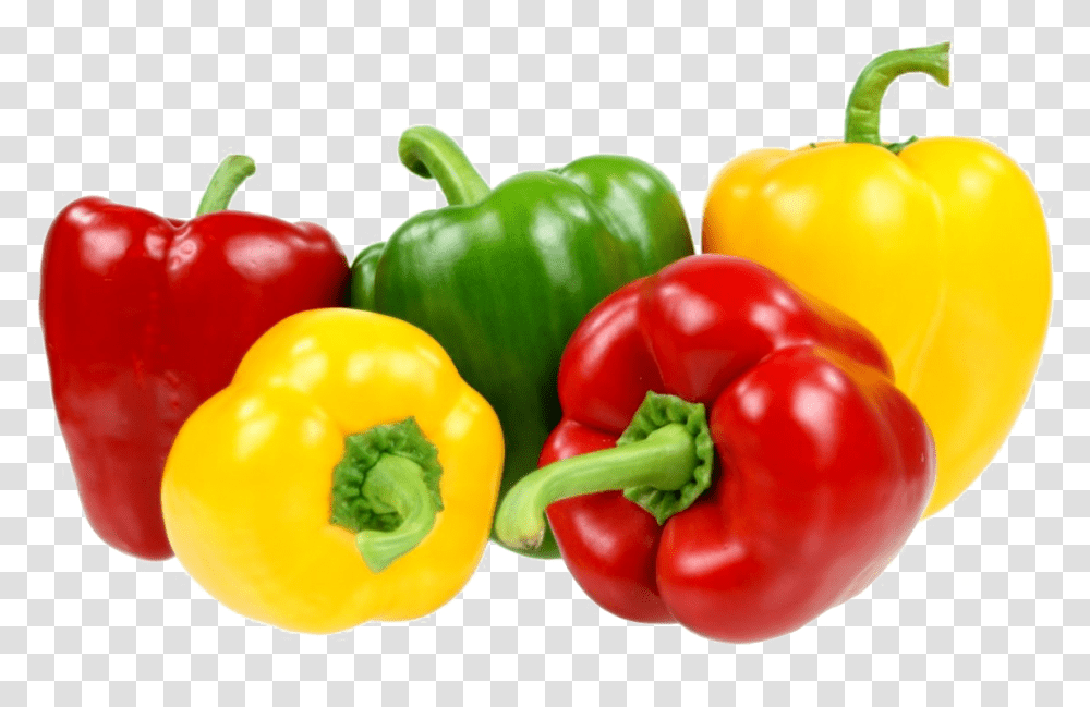 Bell Pepper Photo Background Bell Peppers, Plant, Vegetable, Food Transparent Png