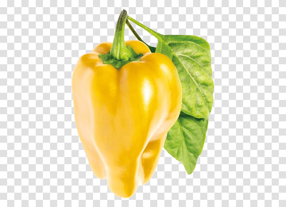 Bell Pepper Pic Sweet Yellow Bell Pepper, Plant, Vegetable, Food, Vegetation Transparent Png