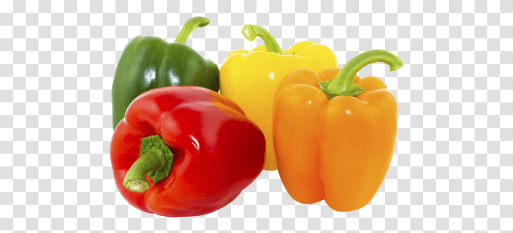 Bell Pepper Price Sri Lanka, Plant, Vegetable, Food Transparent Png