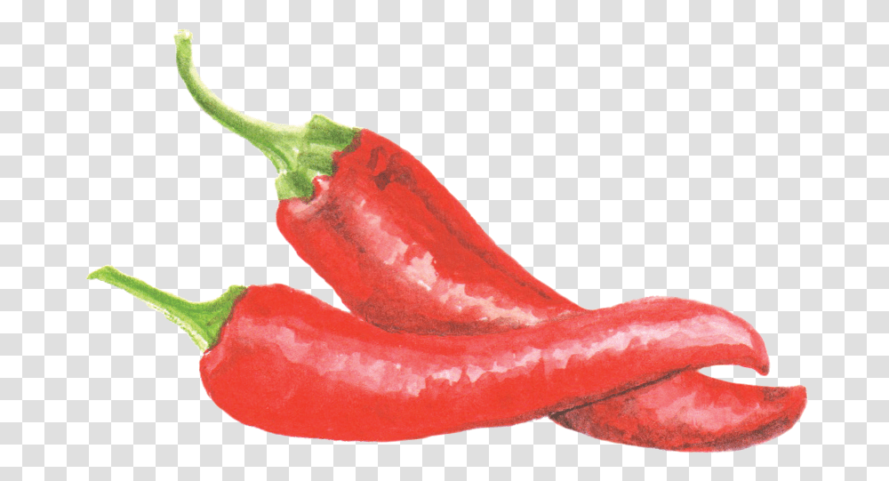 Bell Pepper Watercolor, Plant, Food, Vegetable Transparent Png