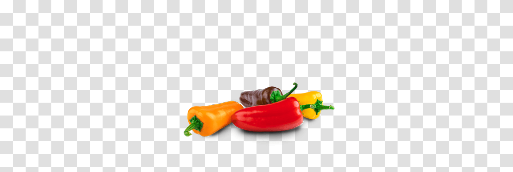 Bell Peppers Farms, Plant, Vegetable, Food Transparent Png
