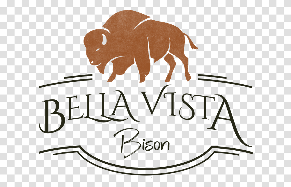 Bella Vista Bison Logo With Bison Over Text Bison Logo, Alphabet, Animal, Mammal, Handwriting Transparent Png