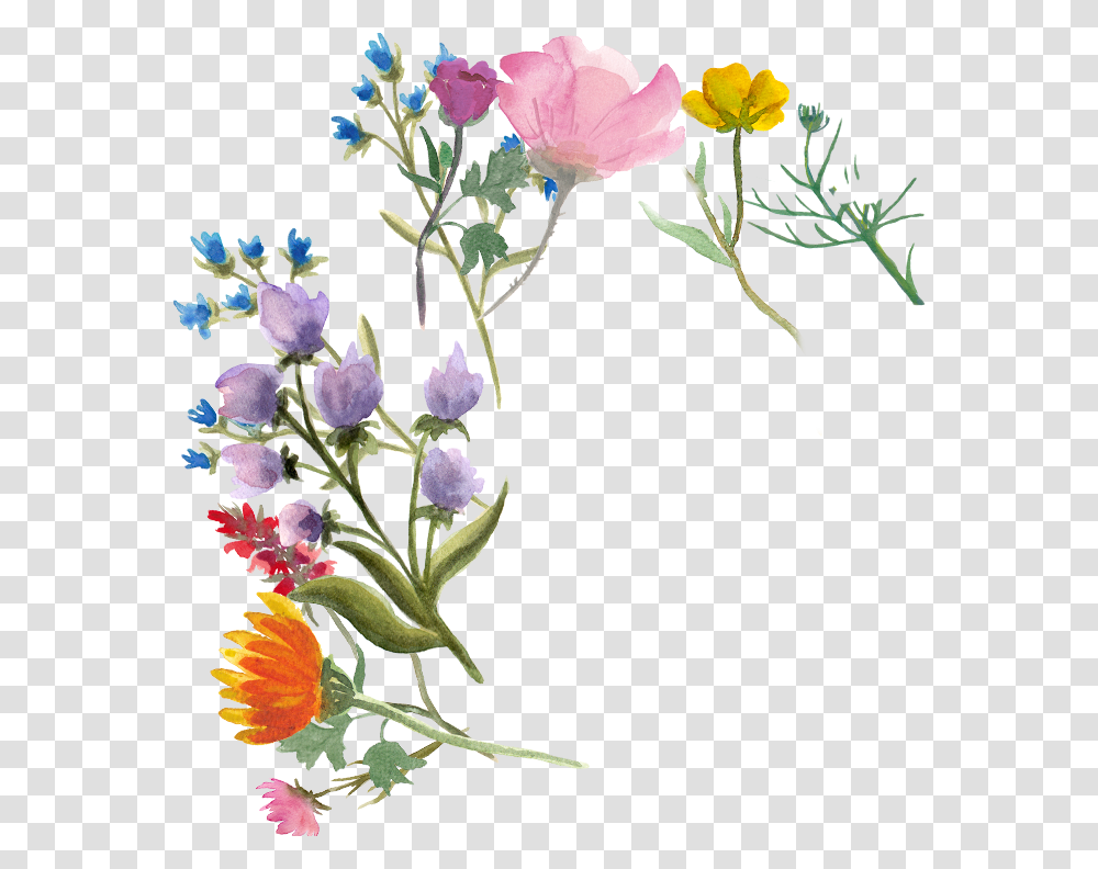 Bellflower, Floral Design, Pattern Transparent Png
