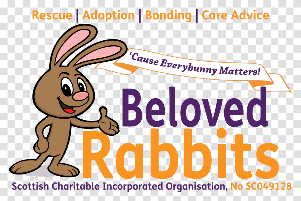 Beloved Rabbits Rabbit And Volunteer, Label, Text, Animal, Mammal Transparent Png
