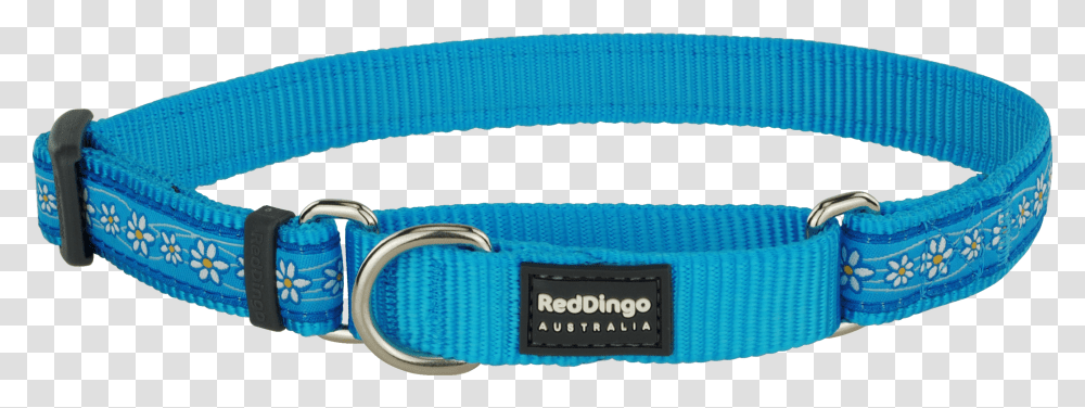 Belt, Accessories, Accessory, Strap, Leash Transparent Png