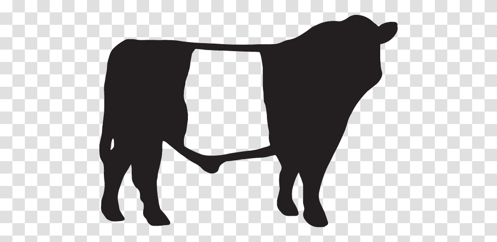 Belted Galloway Decal, Silhouette, Bull, Mammal, Animal Transparent Png