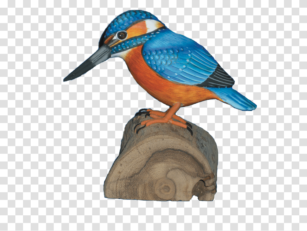 Belted Kingfisher, Bird, Animal, Bluebird, Bee Eater Transparent Png