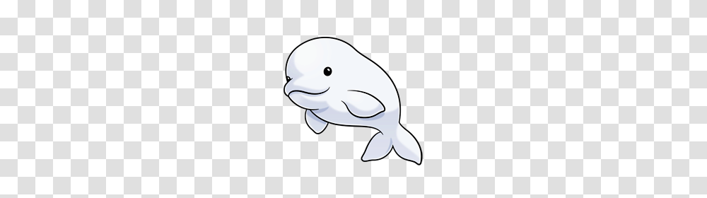 Beluga Clipart Whale Animals And Art, Sea Life, Mammal, Beluga Whale, Dolphin Transparent Png