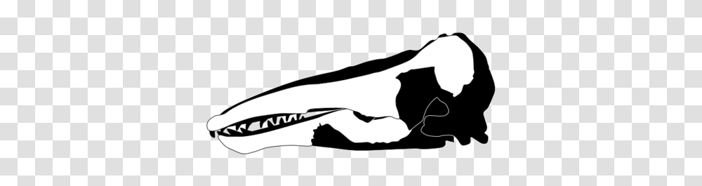 Beluga Whale, Animal, Mammal, Stencil Transparent Png