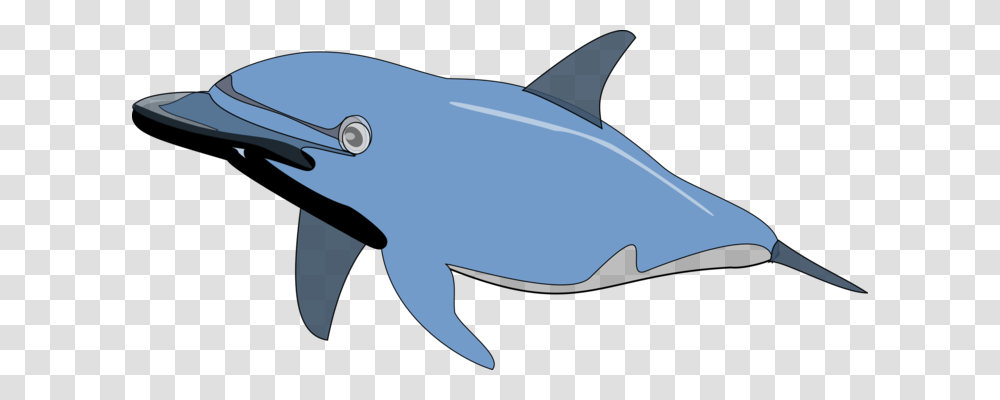 Beluga Whale Cetacea Blue Whale Sperm Whale Killer Whale Free, Sea Life, Animal, Shark, Fish Transparent Png
