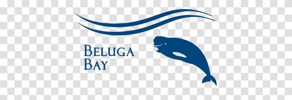 Beluga Whale Clipart Shamu, Screen, Electronics Transparent Png