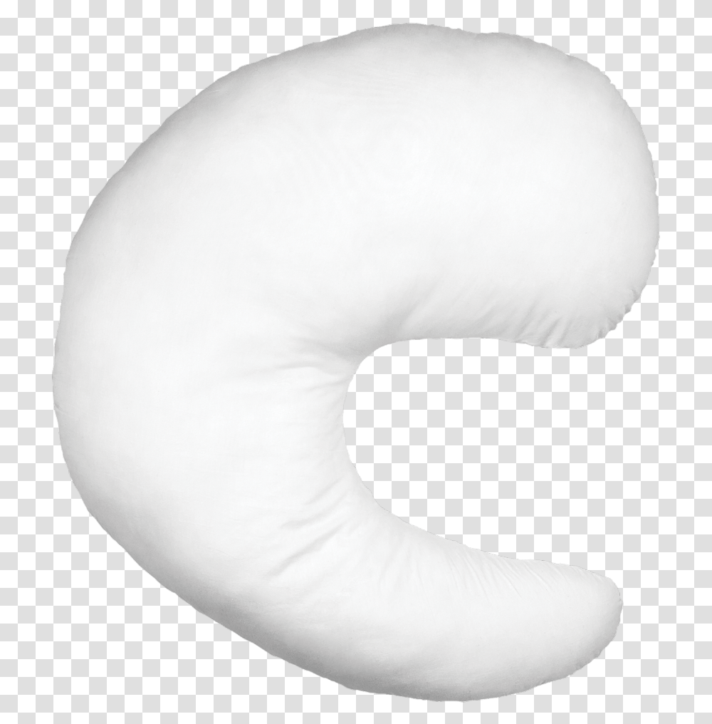 Beluga Whale, Cushion, Pillow, Balloon, Person Transparent Png