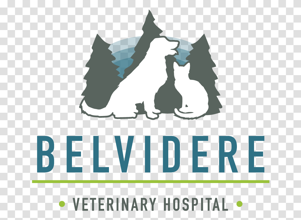 Belvidere Veterinary Hospital Jim Crow Colored Sign, Poster, Advertisement, Paper, Flyer Transparent Png