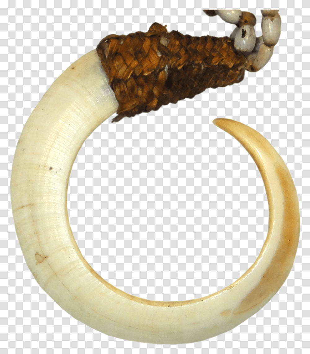 Bena Traditional Money In Papua New Guinea, Banana, Fruit, Plant, Food Transparent Png