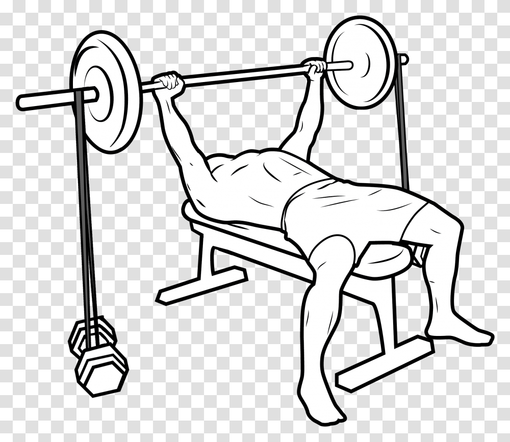 Bench Press Bench Press Bands, Working Out, Sport, Exercise, Sports Transparent Png