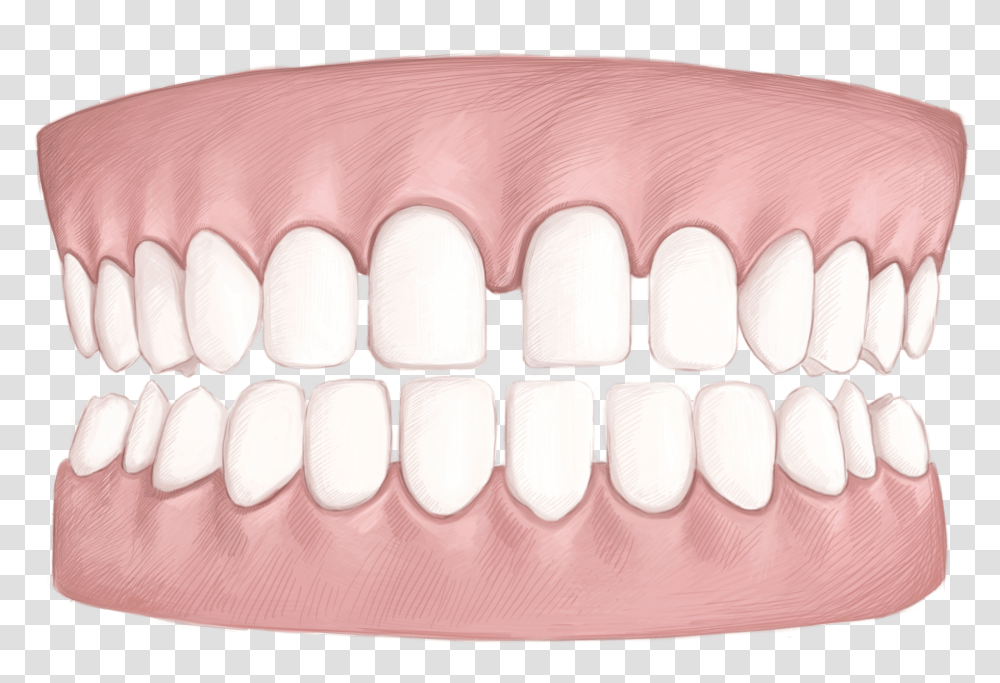 Bench, Teeth, Mouth, Lip, Jaw Transparent Png