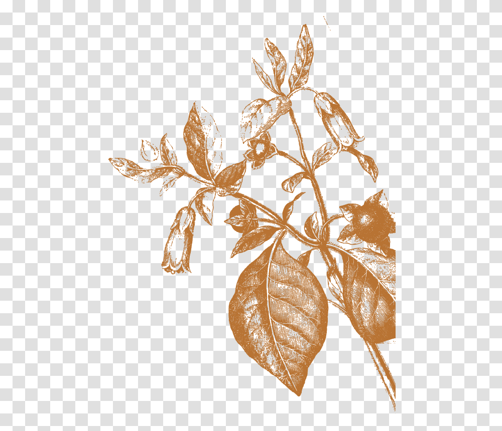 Beneath Text Quote Twig, Plant, Face, Fruit, Food Transparent Png