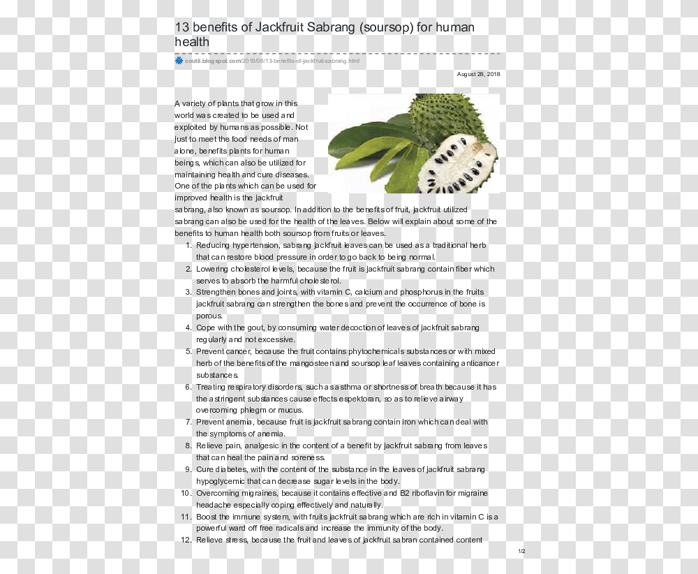 Benefits Of Jackfruit Leaves, Plant, Potted Plant, Vase, Jar Transparent Png