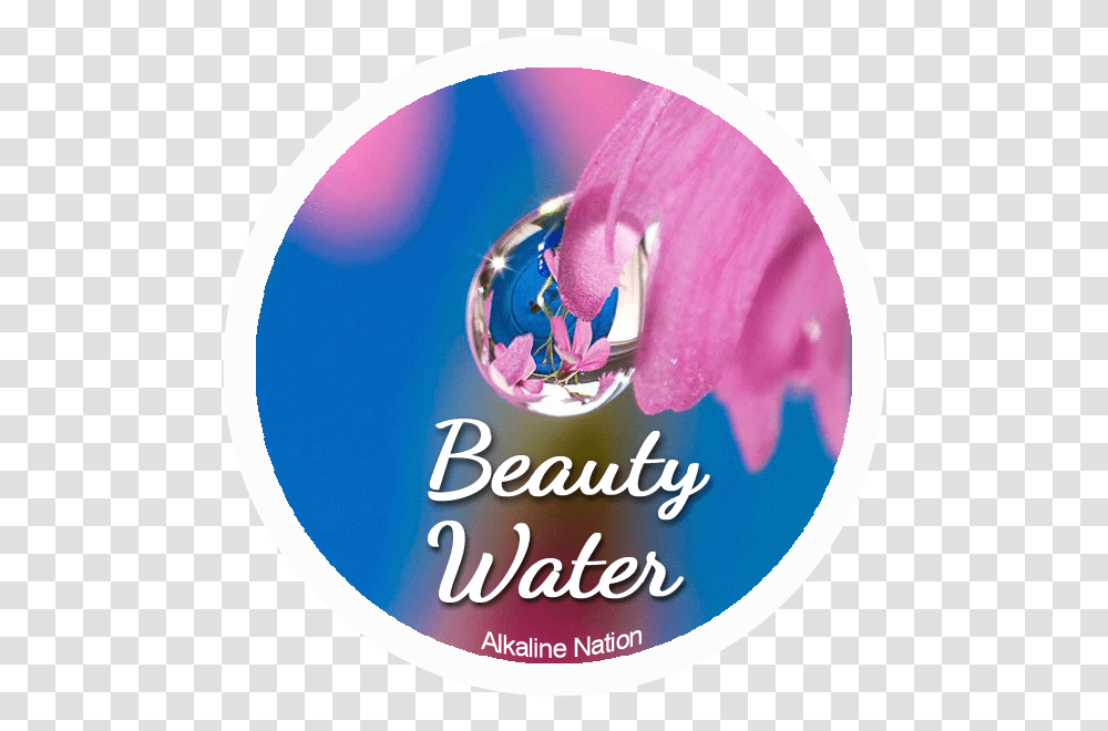 Benefits Of Kangen Water Sticker Kangen Water Logo, Flyer, Poster, Paper, Advertisement Transparent Png