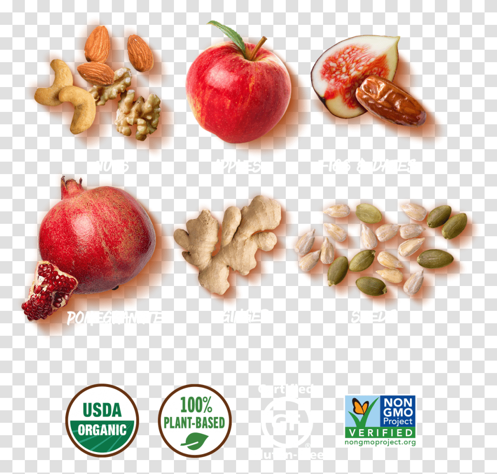 Benefits Seedless Fruit, Plant, Food, Produce, Pomegranate Transparent Png