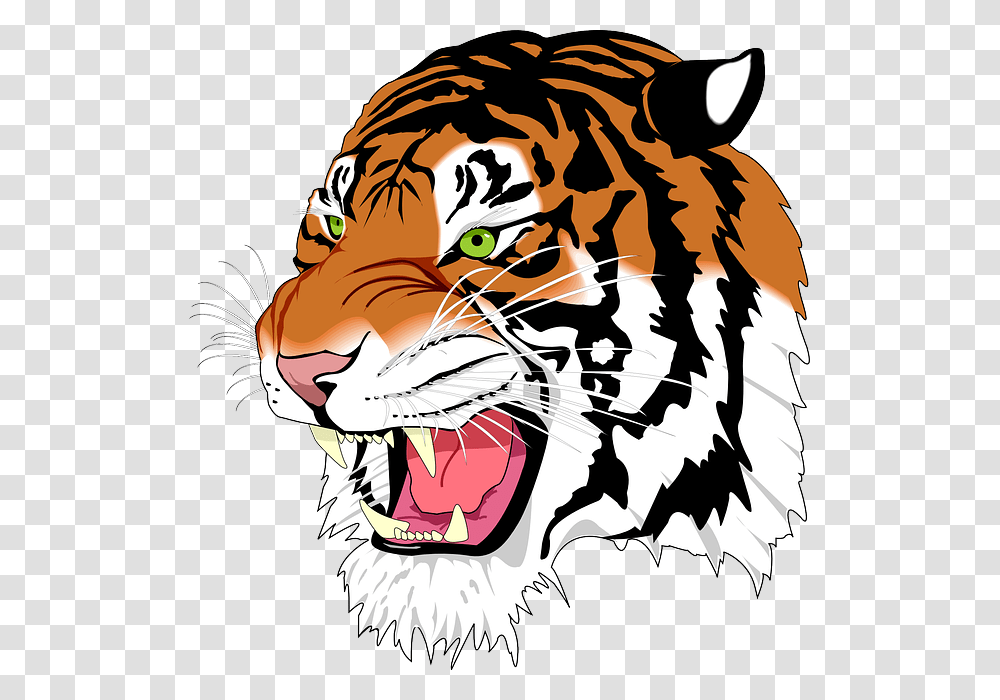 Bengal Clipart Harimau, Mammal, Animal, Wildlife, Tiger Transparent Png