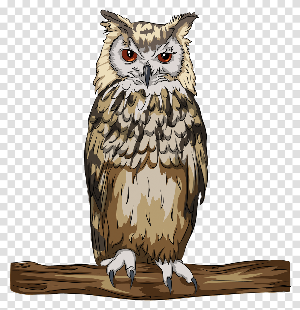 Bengal Eagle Owl Cartoon, Bird, Animal, Chicken, Poultry Transparent Png