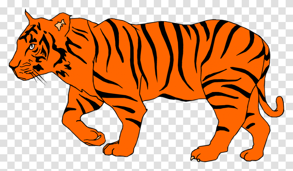 Bengal Tiger Clip Art, Wildlife, Mammal, Animal, Plant Transparent Png