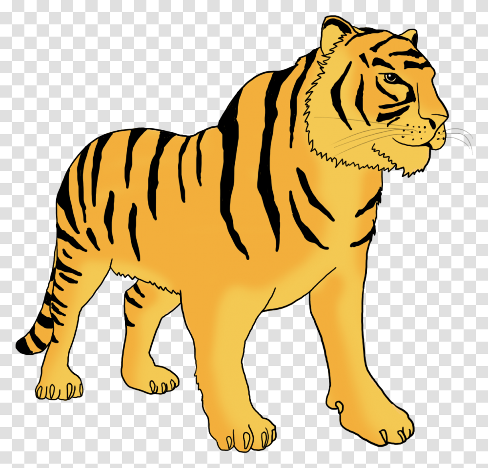 Bengal Tiger Clipart, Wildlife, Mammal, Animal, Lion Transparent Png