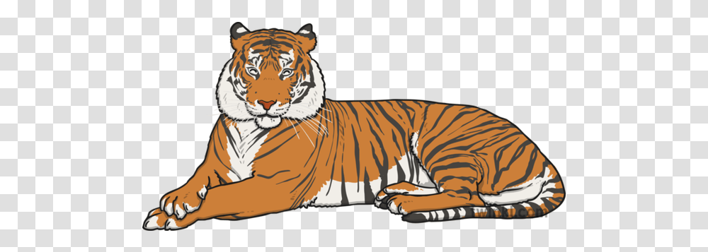 Bengal Tiger Illustration Animals With Stripes, Wildlife, Mammal, Zebra Transparent Png
