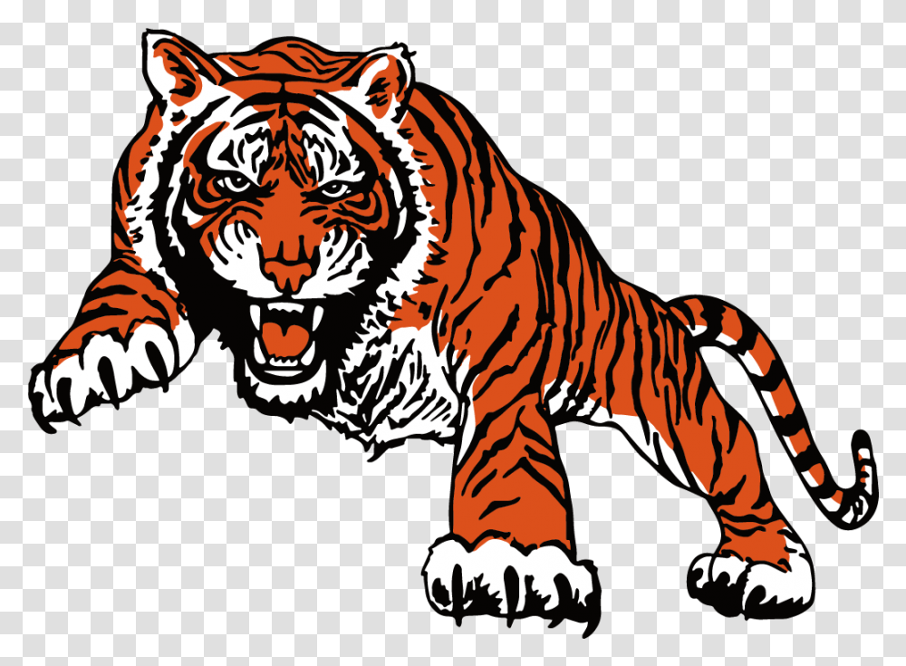 Bengal Tiger, Wildlife, Animal, Mammal, Zebra Transparent Png
