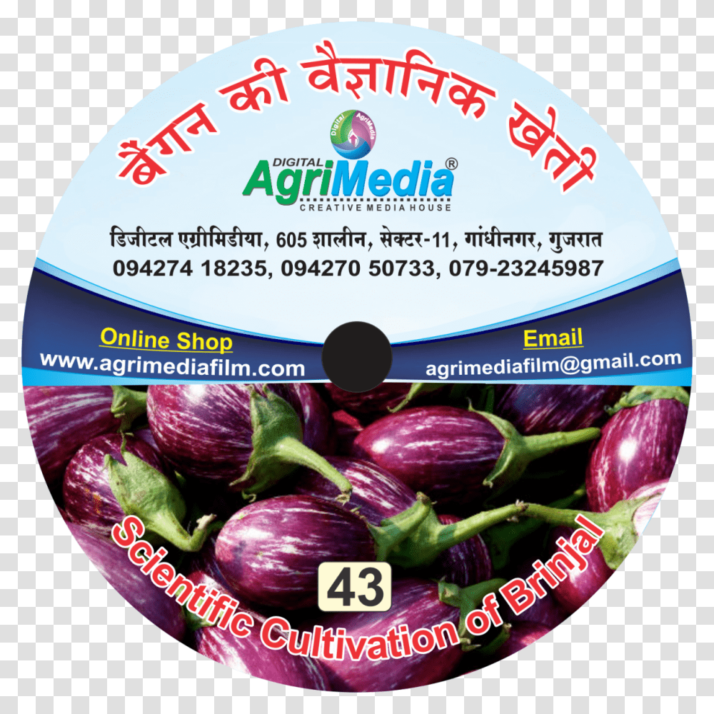 Bengan Ki Vaiganik Kheti Eggplant, Food, Vegetable, Apple, Fruit Transparent Png