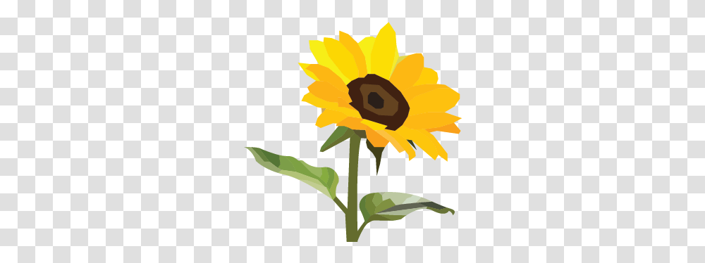 Benjamin Rita Product Design Using Metaphor, Plant, Sunflower, Blossom Transparent Png