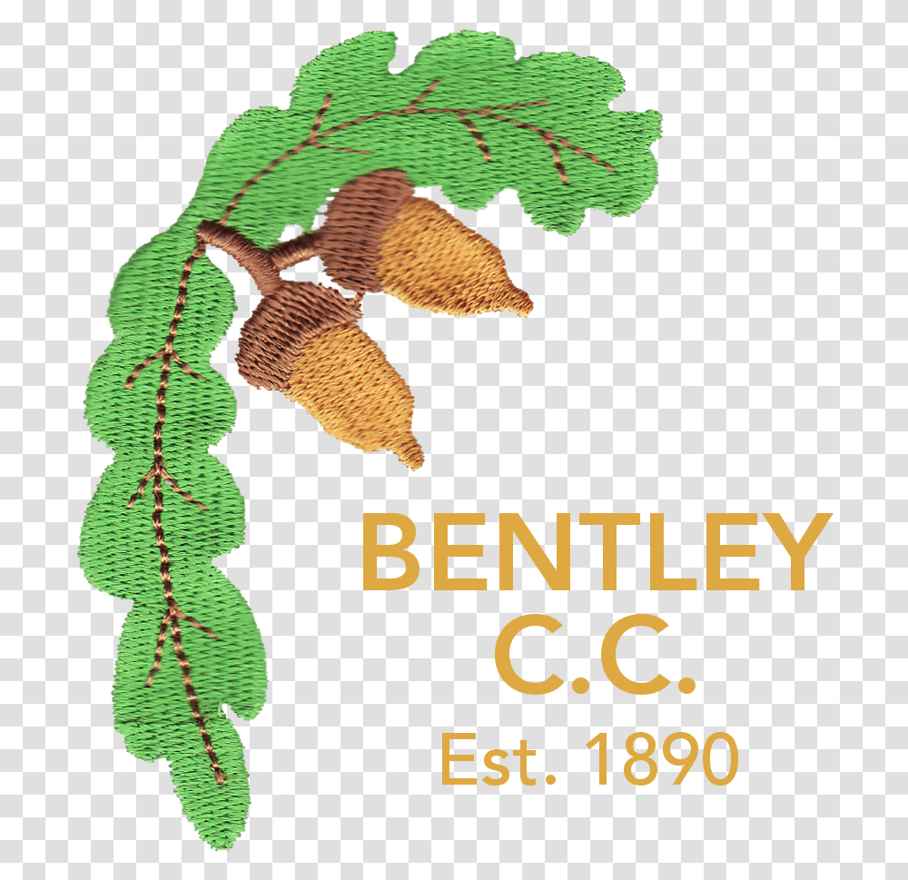 Bentley Cricket Club Center For Enriched Living, Plant, Gecko, Lizard, Reptile Transparent Png